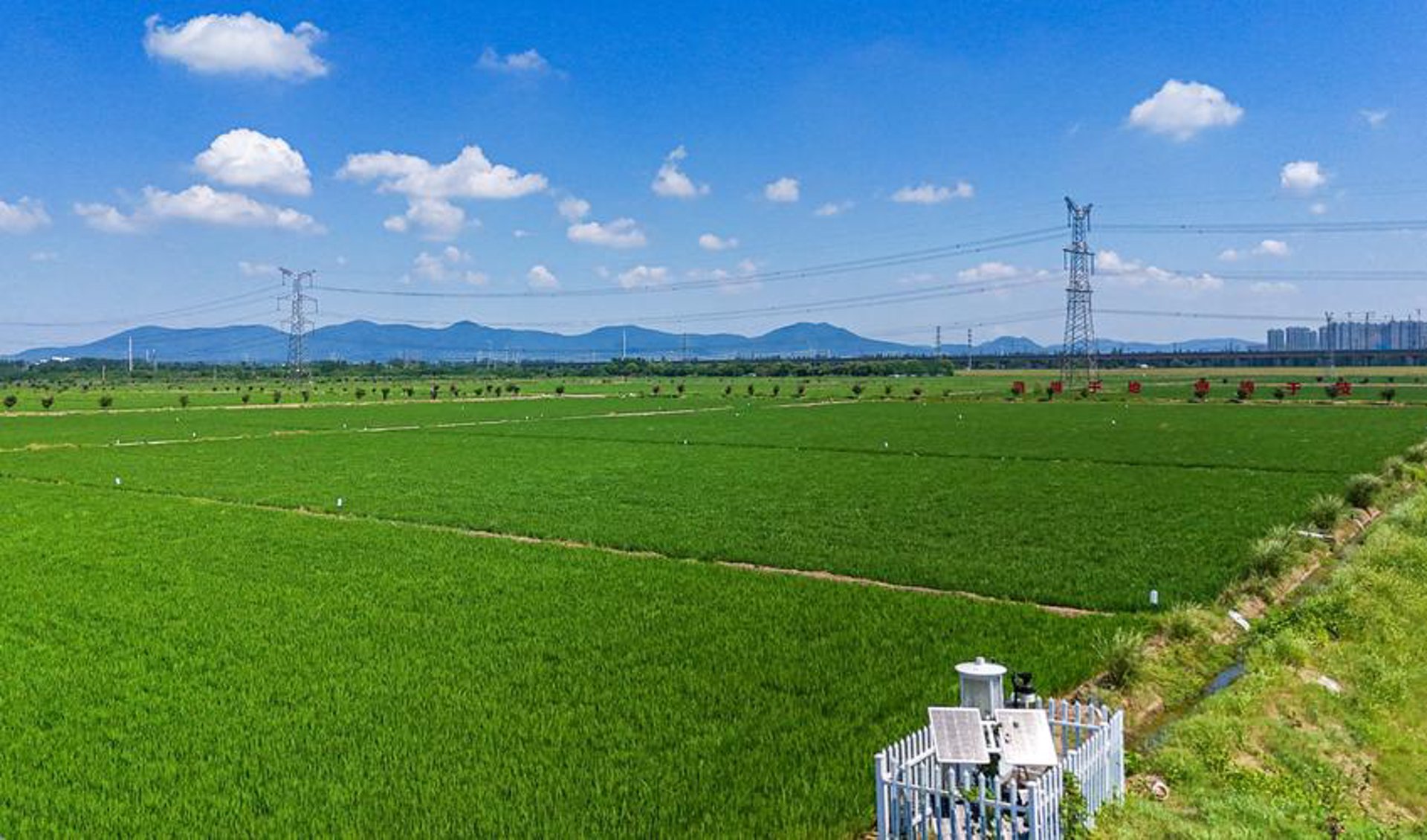 长青农场