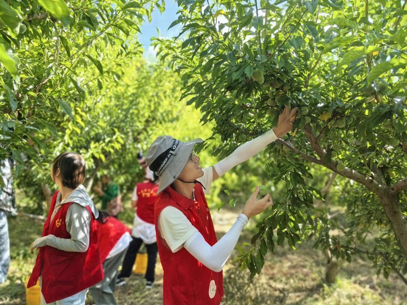 水果采摘的魅力何在